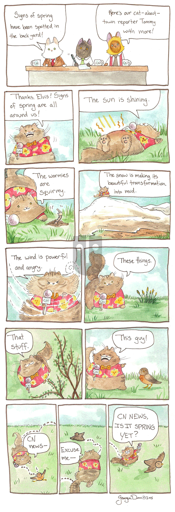 Breaking Cat News on Monday December 5, 2016 Comic Strip
