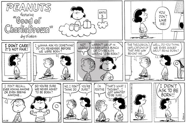 Peanuts on Sunday November 23, 1986 Comic Strip