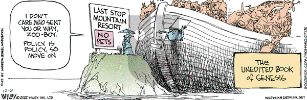 Non Sequitur - Thursday December 8, 2022 Comic Strip