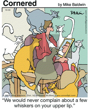 Cornered on Friday October 30, 2020 Comic Strip