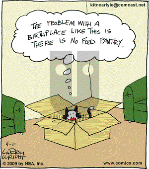 Kit 'N' Carlyle on Tuesday April 21, 2009 Comic Strip