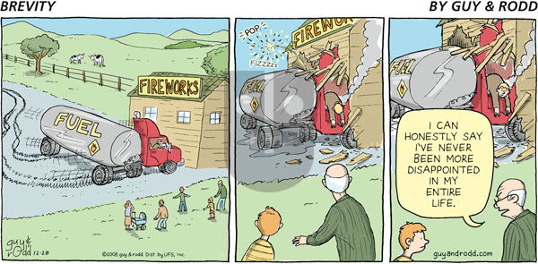 Brevity - Sunday December 28, 2008 Comic Strip