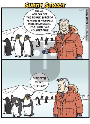 Sunny Street on Monday May 19, 2014 Comic Strip