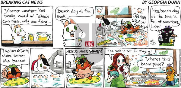 Breaking Cat News on Sunday June 8, 2025 Comic Strip