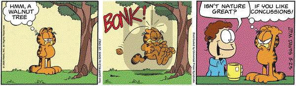 Garfield - Saturday May 23, 2009 Comic Strip