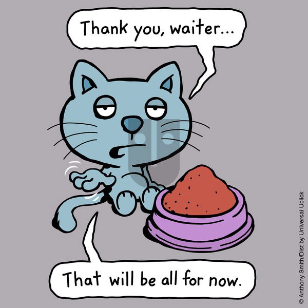 Cattitude — Doggonit on Sunday May 4, 2025 Comic Strip