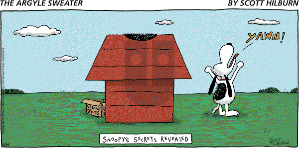 The Argyle Sweater - Sunday August 24, 2008 Comic Strip