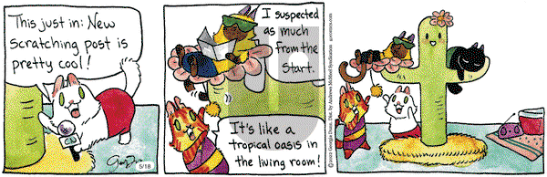 Breaking Cat News - Saturday May 18, 2024 Comic Strip