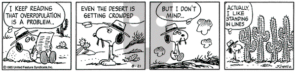 Peanuts on Wednesday August 21, 1985 Comic Strip
