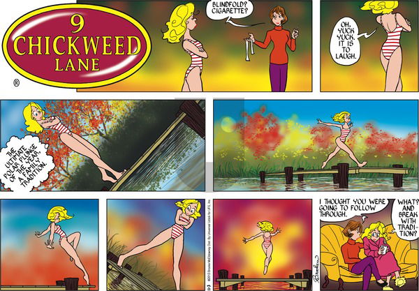 9 Chickweed Lane on Sunday November 3, 2013 Comic Strip
