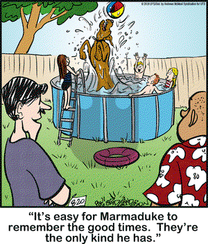 Marmaduke on Monday August 20, 2018 Comic Strip