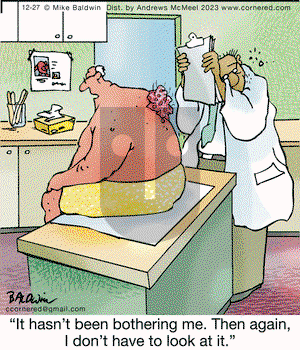 Cornered - Wednesday December 27, 2023 Comic Strip