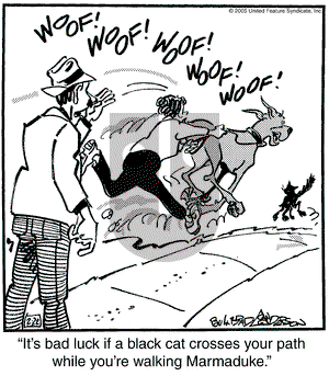 Marmaduke on Tuesday February 22, 2005 Comic Strip