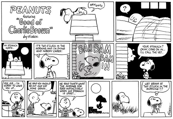 Peanuts on Sunday November 3, 1974 Comic Strip