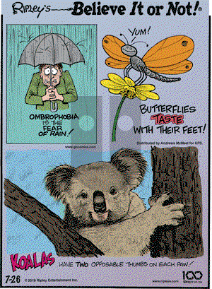Ripley's Believe It or Not on Friday July 26, 2019 Comic Strip