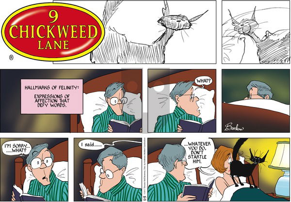 9 Chickweed Lane on Sunday November 5, 2017 Comic Strip