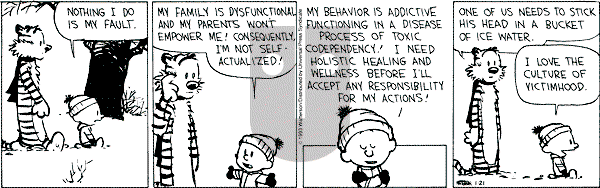 Calvin and Hobbes - Thursday January 21, 1993 Comic Strip