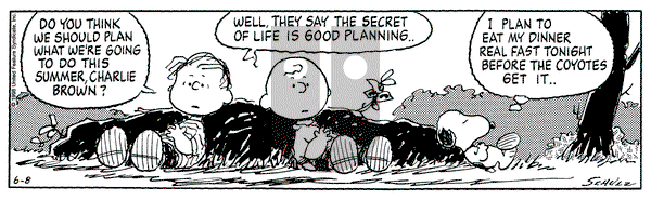 Peanuts on Monday June 8, 1998 Comic Strip