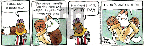 Breaking Cat News on Saturday November 4, 2017 Comic Strip