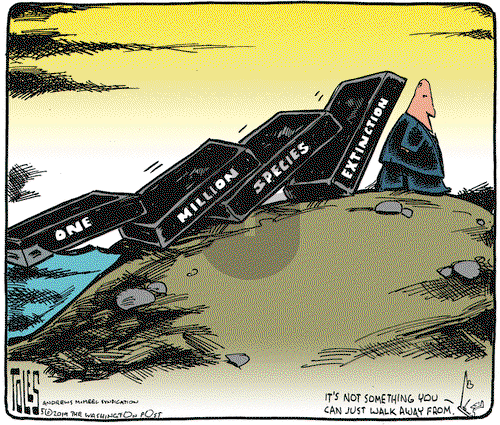 Tom Toles on Monday June 3, 2019 Comic Strip