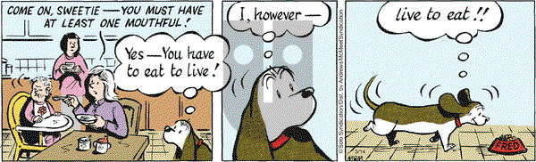 Fred Basset on Thursday May 14, 2020 Comic Strip