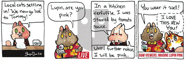 Breaking Cat News - Monday February 6, 2023 Comic Strip