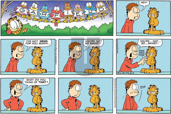 Garfield on Sunday August 3, 2008 Comic Strip