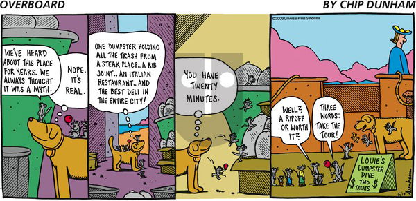Overboard on Sunday June 14, 2009 Comic Strip