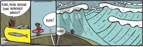 Overboard on Saturday May 24, 2008 Comic Strip