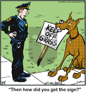 Marmaduke on Tuesday February 9, 2021 Comic Strip