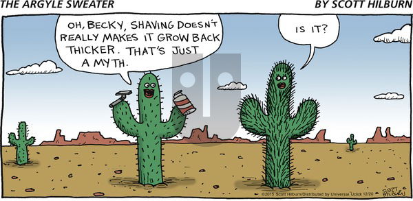 The Argyle Sweater on Sunday December 20, 2015 Comic Strip