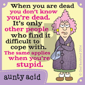 Aunty Acid on Monday December 29, 2014 Comic Strip
