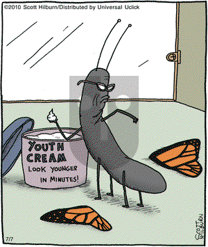 The Argyle Sweater on Wednesday July 7, 2010 Comic Strip