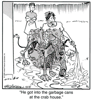 Marmaduke on Friday October 15, 1999 Comic Strip