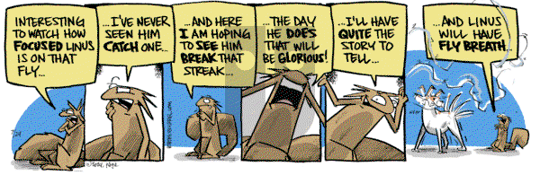 Bob the Squirrel - Wednesday July 24, 2024 Comic Strip
