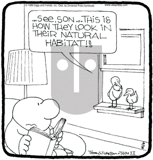 Ziggy on Tuesday June 8, 1999 Comic Strip