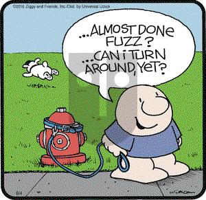 Ziggy on Thursday August 4, 2016 Comic Strip
