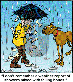 Marmaduke on Monday November 25, 2013 Comic Strip