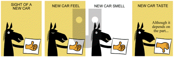 Dark Side of the Horse on Sunday August 20, 2017 Comic Strip