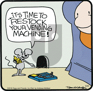Ziggy on Wednesday May 22, 2019 Comic Strip