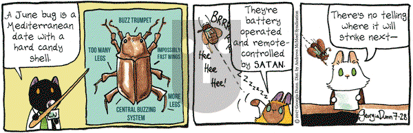 Breaking Cat News on Friday July 28, 2017 Comic Strip