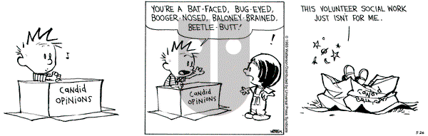 Calvin and Hobbes on Wednesday May 26, 1993 Comic Strip
