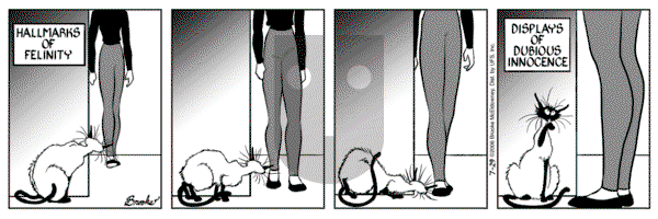 9 Chickweed Lane on Saturday July 29, 2006 Comic Strip