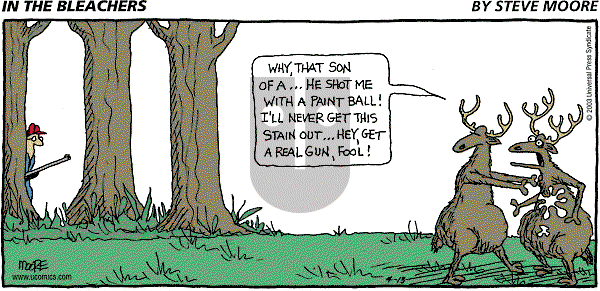 In the Bleachers - Sunday April 13, 2003 Comic Strip