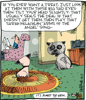 Reality Check on Thursday April 17, 2014 Comic Strip