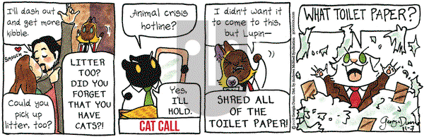 Breaking Cat News on Wednesday November 7, 2018 Comic Strip