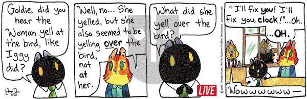 Breaking Cat News on Saturday May 24, 2025 Comic Strip