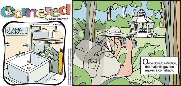 Cornered on Sunday August 8, 2010 Comic Strip