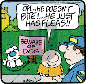 Ziggy on Friday December 4, 2020 Comic Strip