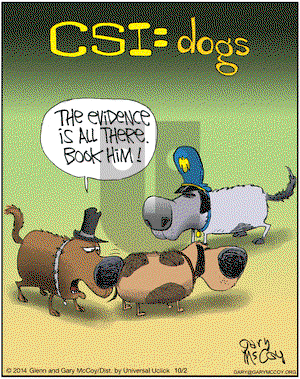 The Flying McCoys on Thursday October 2, 2014 Comic Strip
